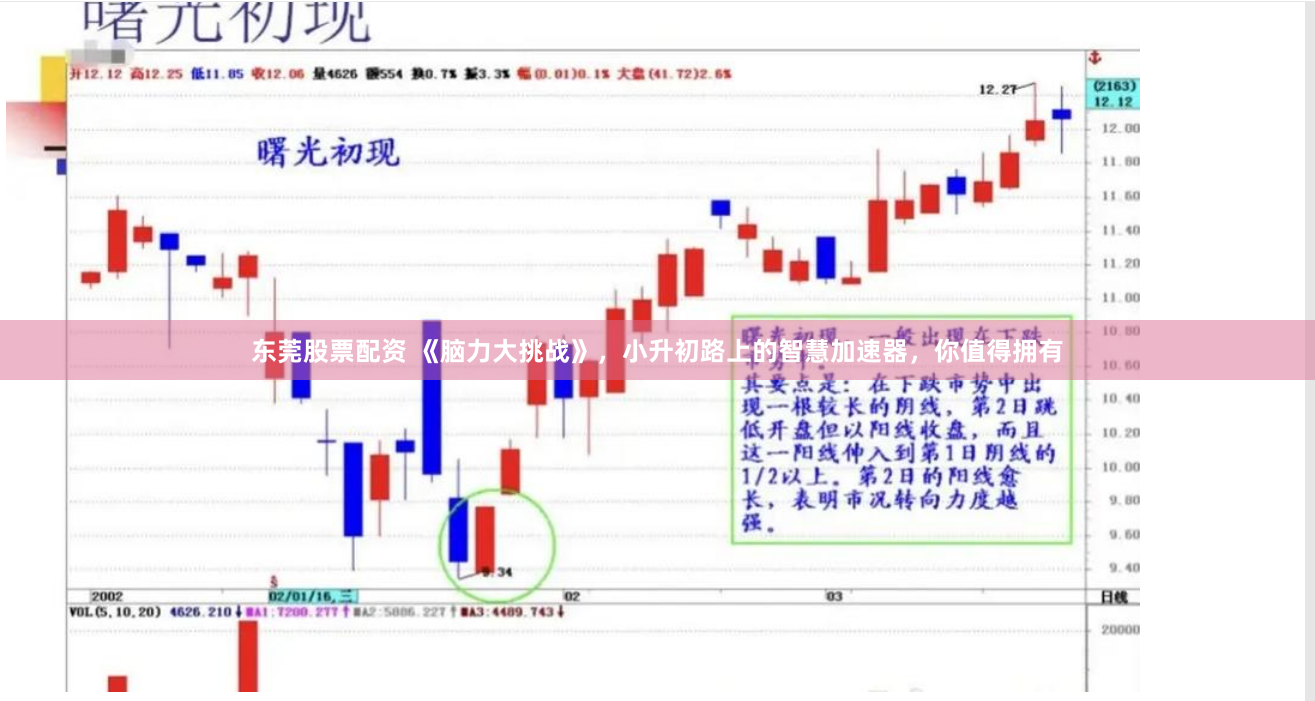 东莞股票配资 《脑力大挑战》，小升初路上的智慧加速器，你值得拥有