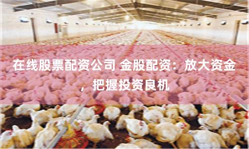 在线股票配资公司 金股配资：放大资金，把握投资良机
