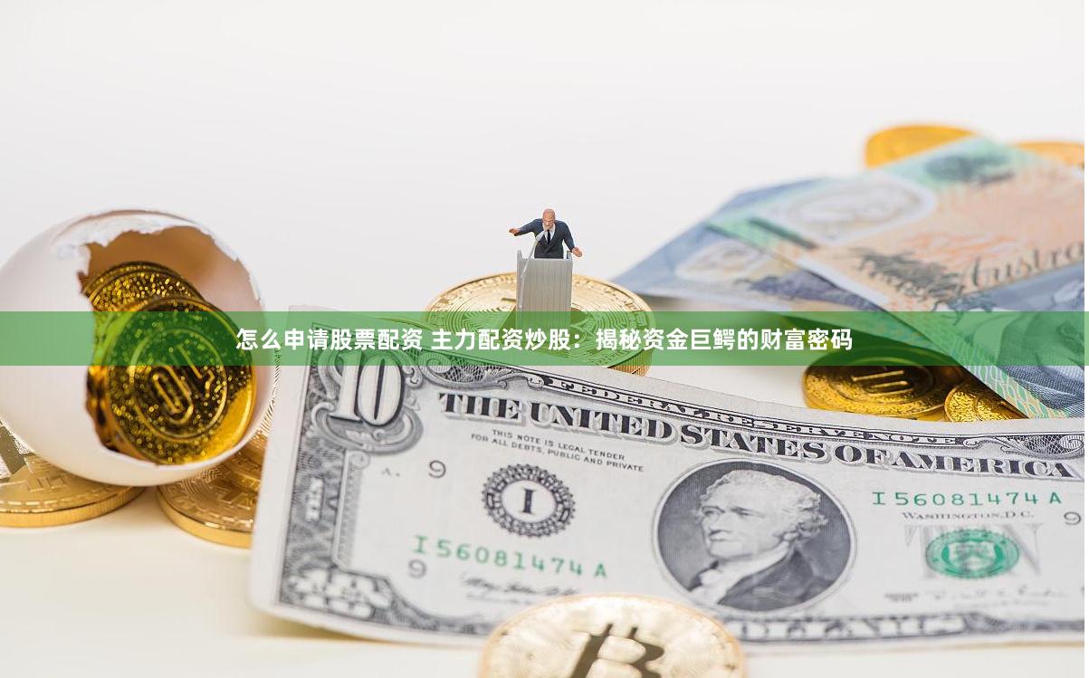 怎么申请股票配资 主力配资炒股：揭秘资金巨鳄的财富密码